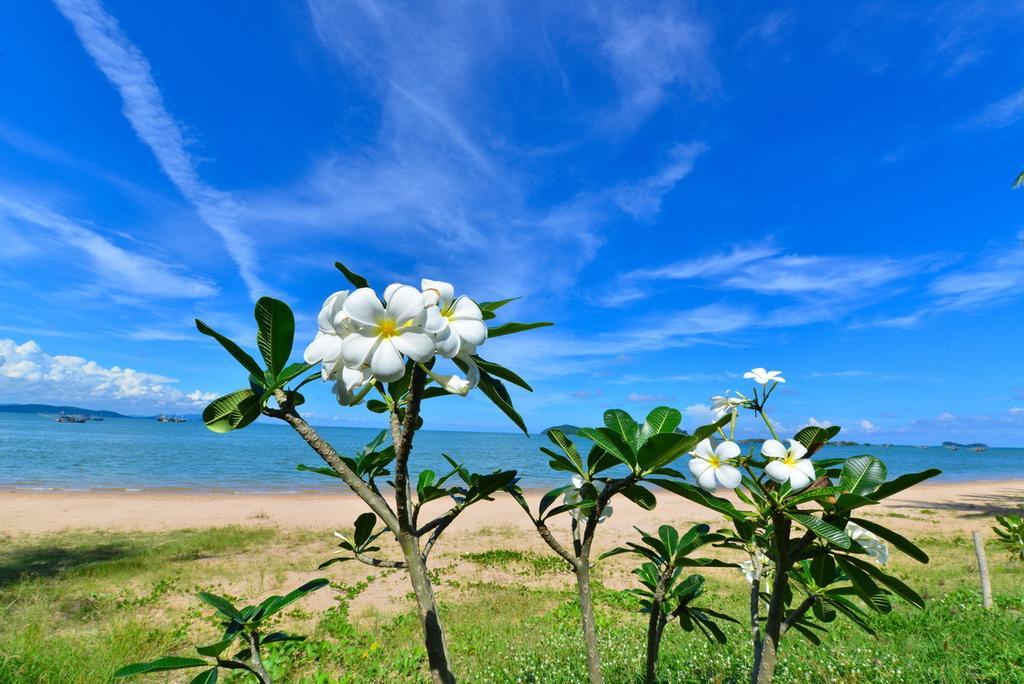 Star Light Beach Resort And Restaurant ชุมพร ภายนอก รูปภาพ