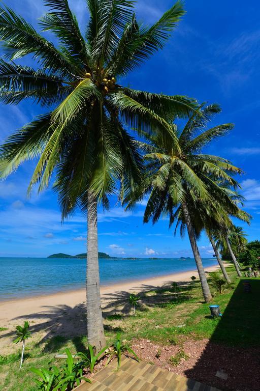 Star Light Beach Resort And Restaurant ชุมพร ภายนอก รูปภาพ